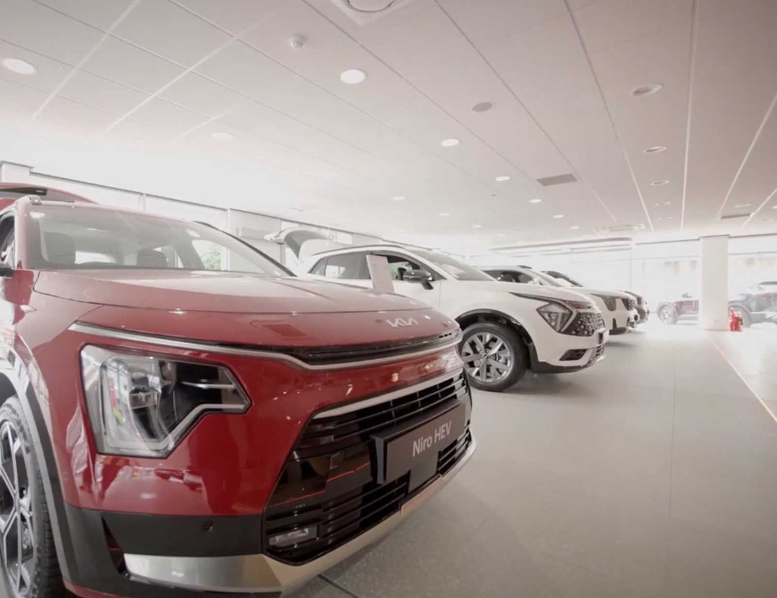 Showroom Refurbishment