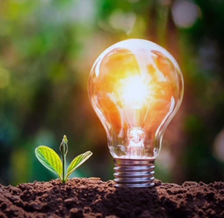Energy Saving from CTE Electrical Contractors illustrated by a plant pushing through the earth alongside a lit lightbulb